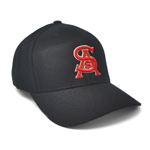 SA Baseball Logo FlexFit Hat1